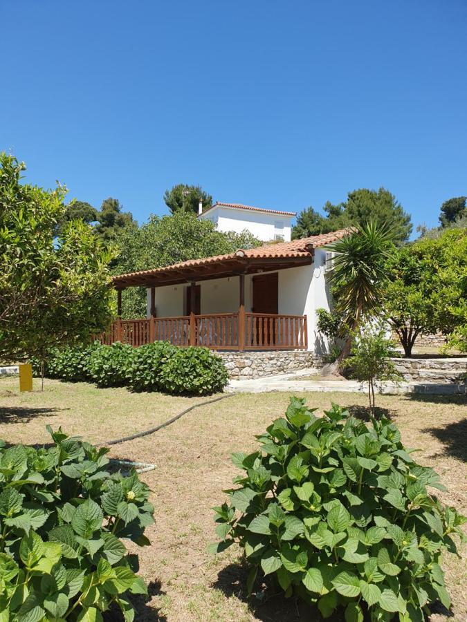 Panos Villas Koukounaries Extérieur photo